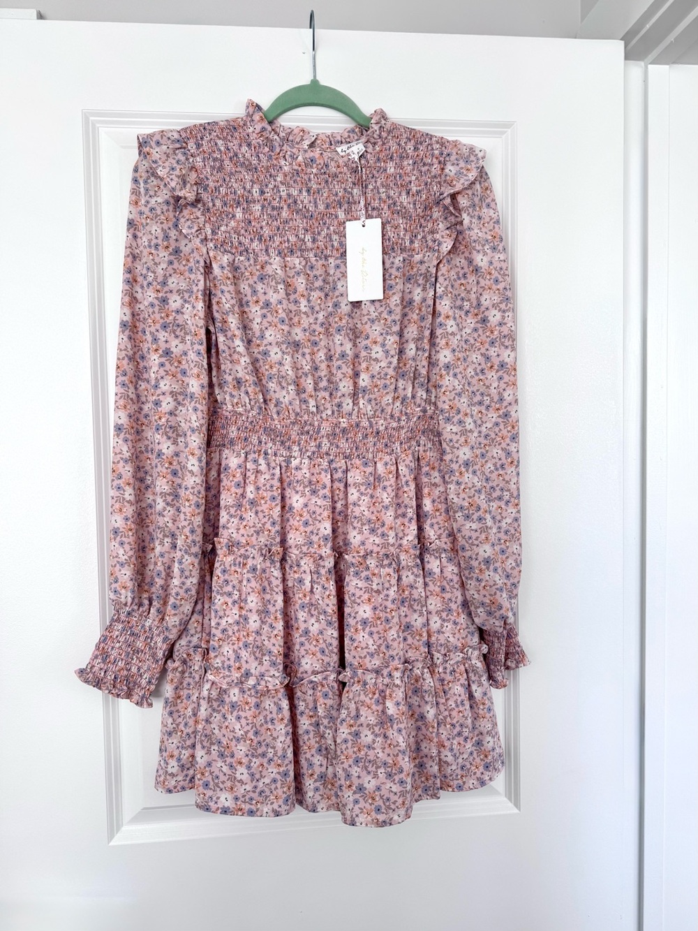 By The River Smocked Floral Long-Sleeve Mini Dress - Pink Size S